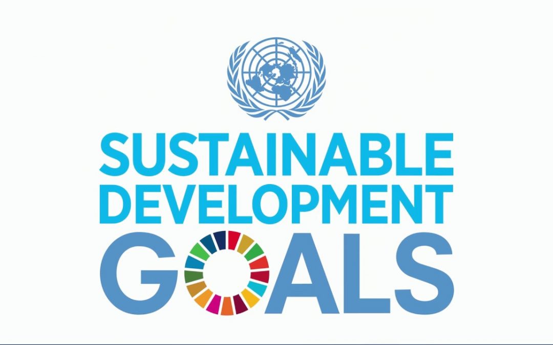 The UN Agenda 2030 Sustainable Development Goals (SDGs)