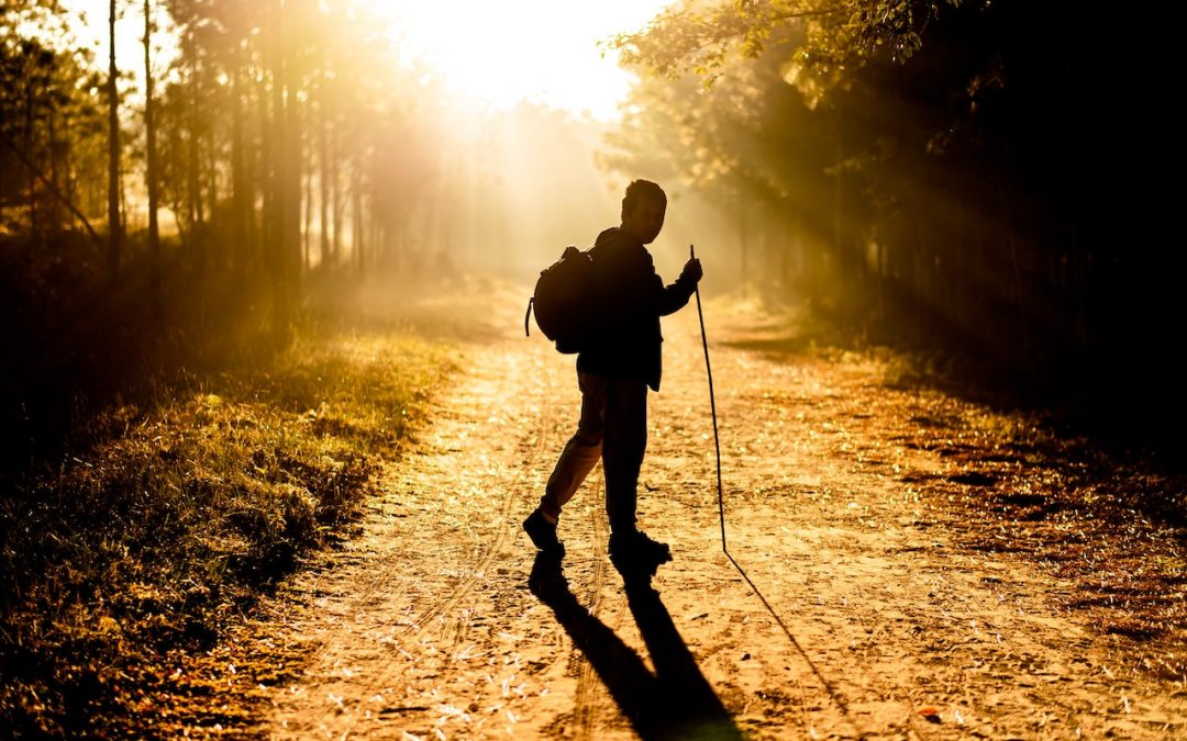 Erste Schritte zur Umwelt-Physiotherapie: Natur erleben beim Nordic Walking, und, hängen Wundheilung und Planetary Health zusammen?