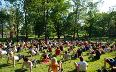You are already practicing environmental physiotherapy: whenever you recommend physical activity (and here is how)
