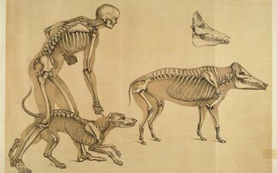 COVID-19, healthcare and the environment (the long read)