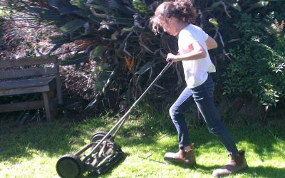 Unless someone like… me! – A personal reflection on this World Environment Day 2020
