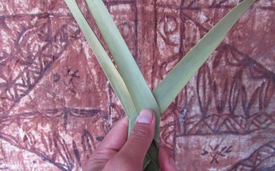 Restoring harmony – How pacific indigenous knowledge can help physiotherapists navigate environmental responsibility