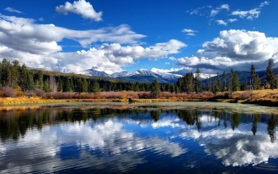 Reconnecting with nature helped me reconnect with myself and the world