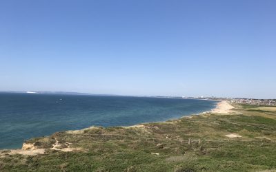 Living well with pain, by the sea