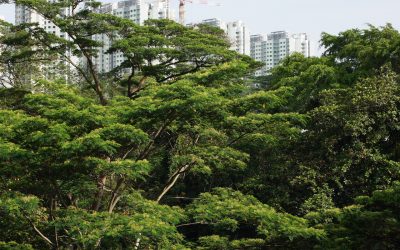 Can greenspace exposure improve pain outcomes?
