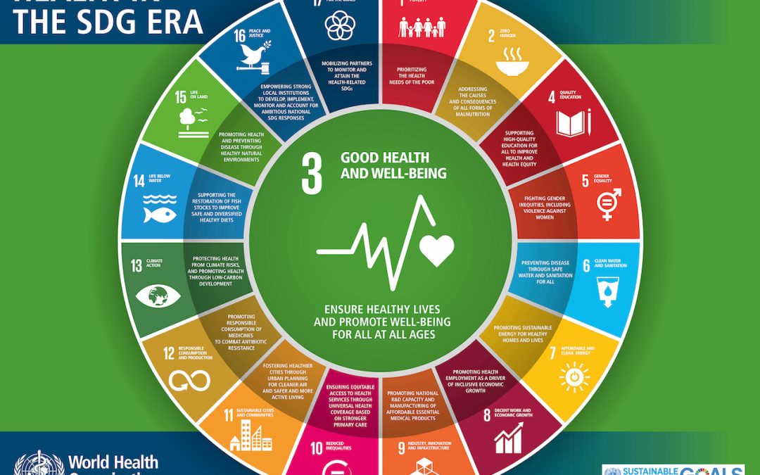 A workshop on the SDGs in the context of health promotion
