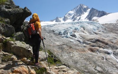 From Physiotherapy to Environmental Sciences: an ongoing path to interdisciplinarity
