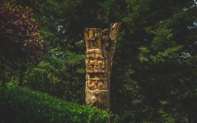 Les connaissances diverses sont nécessaires pour confronter les crises environnementales