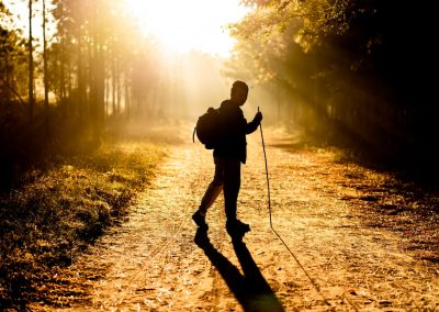 Erste Schritte zur Umwelt-Physiotherapie: Natur erleben beim Nordic Walking, und, hängen Wundheilung und Planetary Health zusammen?