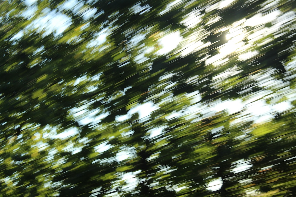 siora-photography-DhoCVkssJjs-unsplash