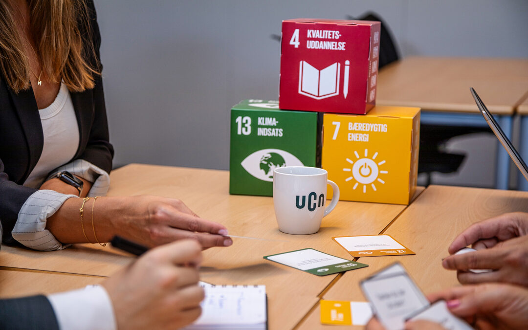 An Elective Course about the Sustainable Development Goals