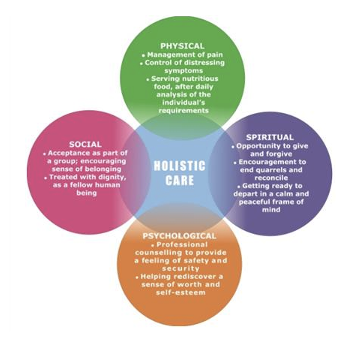 Holistic Care