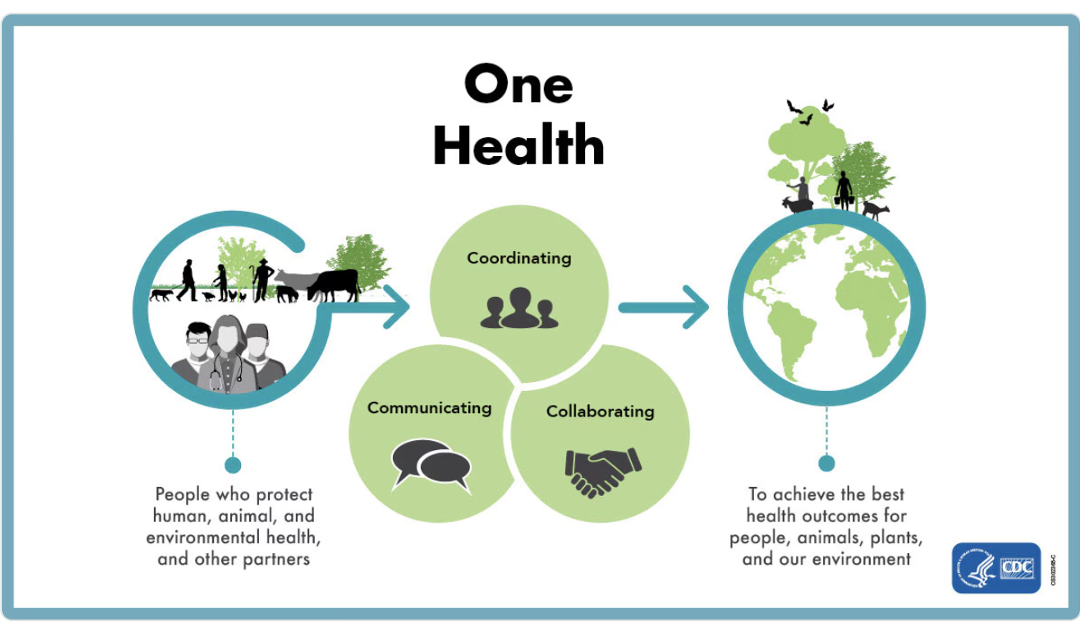A reflection on physiotherapists role in the One Health Model