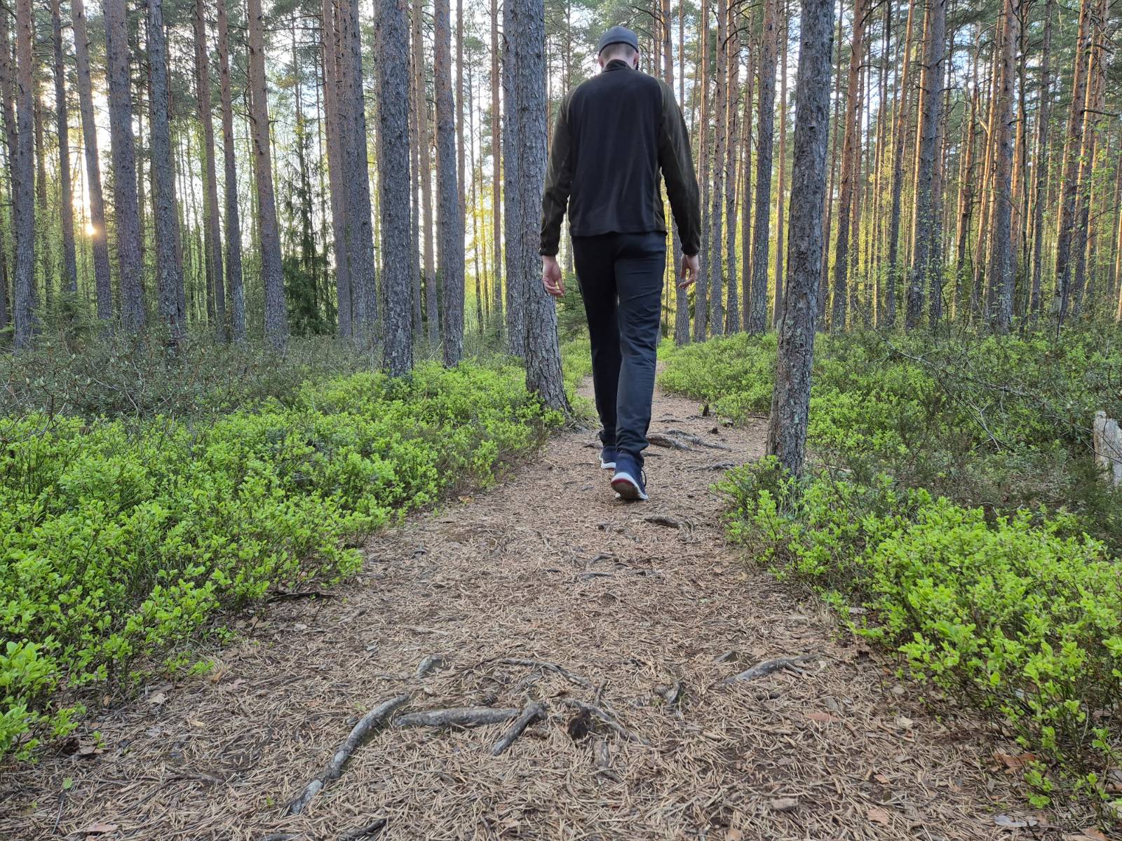 Image 1 walking in the uneven path