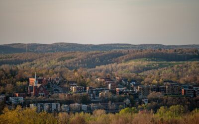 Quand la nature soigne : regards croisés en physiothérapie et en ergothérapie