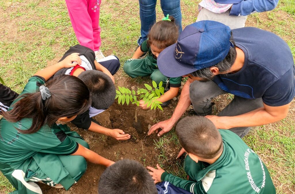 Does conserving biodiversity and restoring degraded ecosystems influence human health?