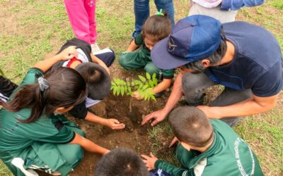 Does conserving biodiversity and restoring degraded ecosystems influence human health?