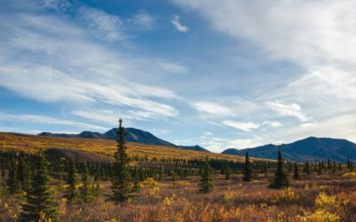 Can Nature help manage the physical consequences of chronic diseases?