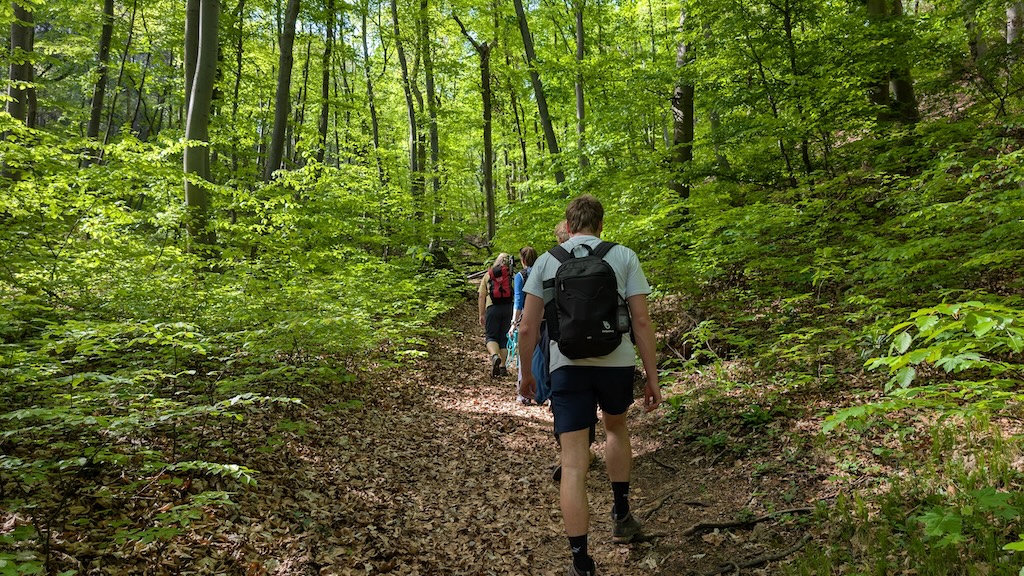 Nature-based therapies in the non-alpine terrain of Austria