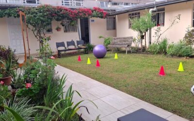 Quando a Natureza Faz Parte da Cura: Um Atendimento de Fisioterapia no Jardim