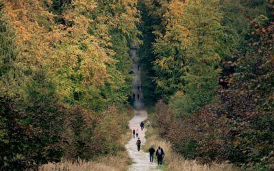 Gesundheitswandern – zurück in eine andere Physiotherapie