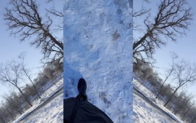 The Posthuman Walking Project