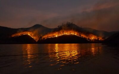 Adapting to the “New Normal”: Practical Strategies for Physical Therapists to Mitigate Wildfire Smoke Health Impacts